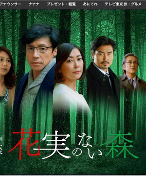森林之花 花実のない森.2017 字幕下载