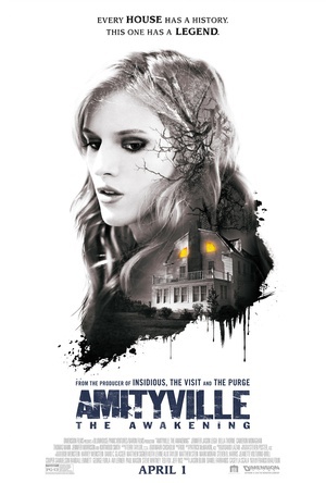 鬼哭神嚎：觉醒 Amityville: The Awakening.2017 字幕下载