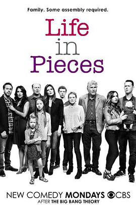 生活点滴 第三季 Life in Pieces.2017 字幕下载