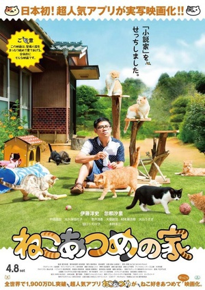 猫咪后院之家 ねこあつめの家.2017 字幕下载