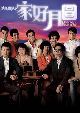溏心风暴2：家好月圆 溏心風暴Ⅱ之家好月圓.2008 字幕下载