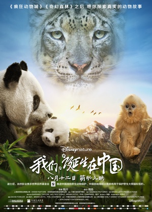 我们诞生在中国 Born in China.2016 字幕下载