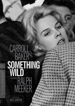 断肠孤凤 Something Wild.1961 字幕下载
