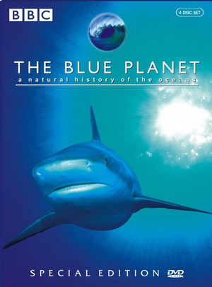 蓝色星球 The Blue Planet.2001 字幕下载