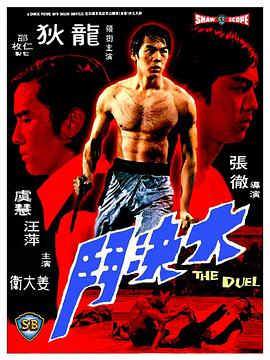 大决斗 大決鬥.1971 字幕下载