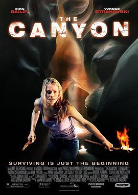 大峡谷 The Canyon.2009 字幕下载