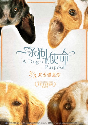 一条狗的使命 A Dog's Purpose.2017 字幕下载
