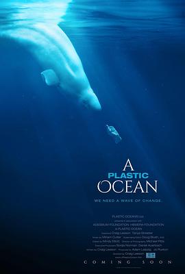 塑胶海洋 A Plastic Ocean.2016 字幕下载