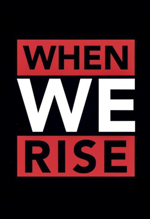 当我们崛起时 When We Rise.2017 字幕下载