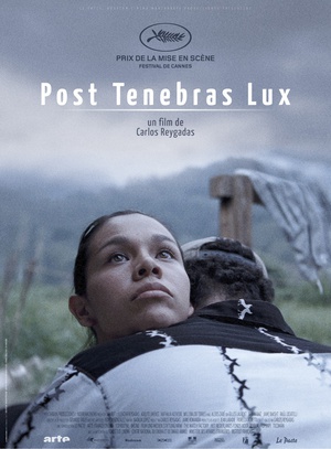 柳暗花明 Post Tenebras Lux.2012 字幕下载