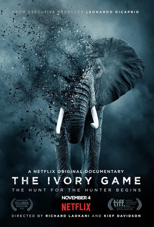 象牙游戏 The Ivory Game.2016 字幕下载