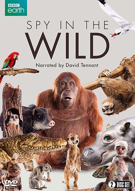 荒野间谍 第一季 Spy in the Wild.2017 字幕下载