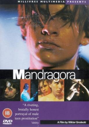 布拉格男妓 Mandragora.1997 字幕下载