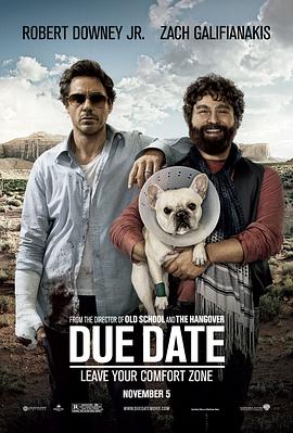 预产期 Due Date.2010 字幕下载