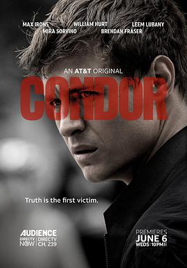 秃鹰 第一季 Condor.2018 字幕下载