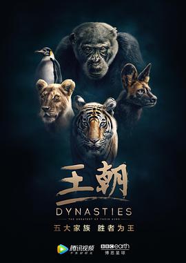 王朝 Dynasties.2018 字幕下载