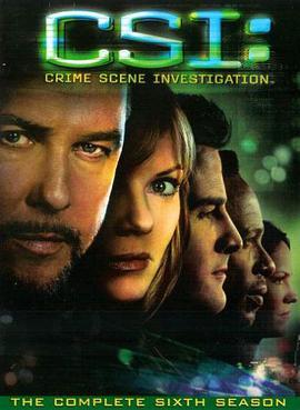 犯罪现场调查 第六季 CSI: Crime Scene Investigation.2005 字幕下载