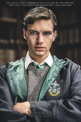 伏地魔：传人的起源 Voldemort: Origins of the Heir.2018 字幕下载