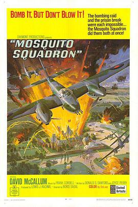 盟军战鹰 Mosquito Squadron.1969 字幕下载