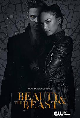 侠胆雄狮 第三季 Beauty and the Beast.2015 字幕下载
