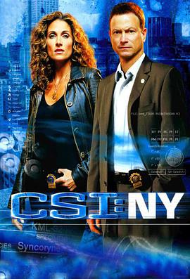 犯罪现场调查：纽约 第四季 CSI: NY.2007 字幕下载