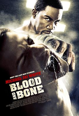 血与骨 Blood and Bone.2009 字幕下载