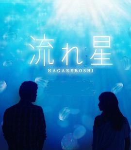 流星 流れ星.2010 字幕下载