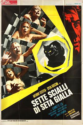 黑猫 Sette scialli di seta gialla.1972 字幕下载