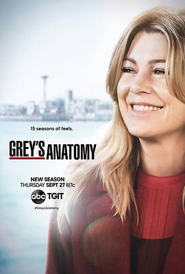 实习医生格蕾 第十五季 Grey's Anatomy.2018 字幕下载