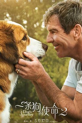 一条狗的使命2 A Dog's Journey.2019 字幕下载