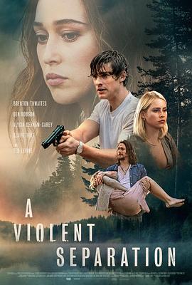 爆裂兄弟 A Violent Separation.2019 字幕下载