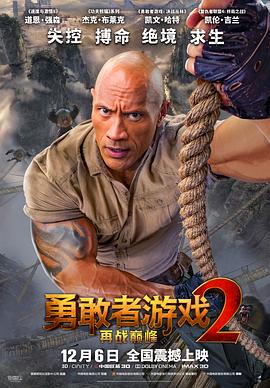 勇敢者游戏2：再战巅峰 Jumanji: The Next Level.2019 字幕下载