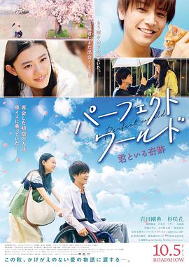 完美世界 パーフェクトワールド 君といる奇跡.2018 字幕下载