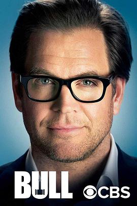 庭审专家 第三季 Bull.2018 字幕下载
