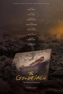 金翅雀 The Goldfinch.2019 字幕下载