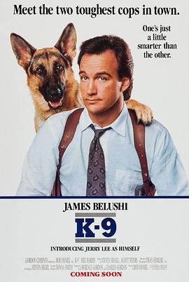 冲锋九号 K-9.1989 字幕下载