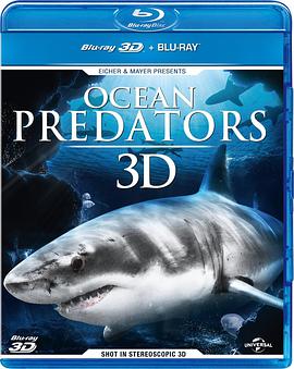 海洋捕食者 Ocean Predators.2013 字幕下载