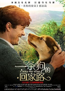 一条狗的回家路 A Dog's Way Home.2019 字幕下载