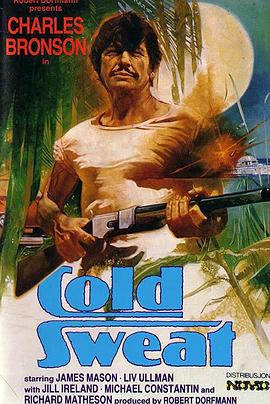 杀手群英会 Cold Sweat.1970 字幕下载