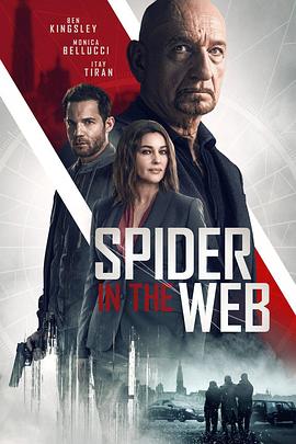 网中蜘蛛 Spider In The Web.2019 字幕下载