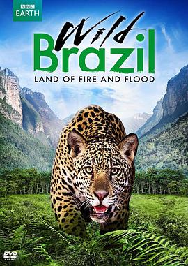 狂野巴西 Wild Brazil.2014 字幕下载