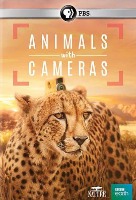 假如动物会摄影 Animals with Cameras.2018 字幕下载