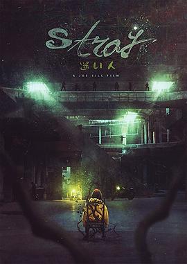迷途之人 Stray.2019 字幕下载