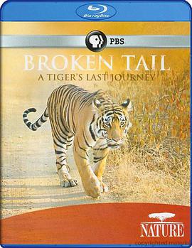 老虎“断尾”的最后旅程 Nature: Broken Tail A Tiger's Last Journey.2011 字幕下载