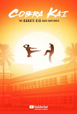 眼镜蛇 第一季 Cobra Kai Season 1.2018 字幕下载