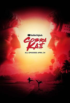 眼镜蛇 第二季 Cobra Kai Season 2.2019 字幕下载