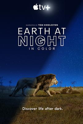 夜色中的地球 Earth at Night in Color.2020 字幕下载