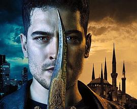 守护者 第四季 The Protector Season 4.2020 字幕下载