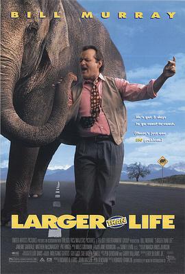 生命中不能承受的象 Larger Than Life.1996 字幕下载