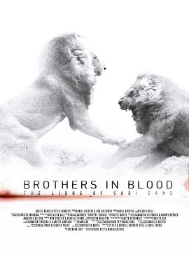 狮王之路 Brothers in Blood: The Lions of Sabi Sand.2015 字幕下载